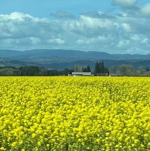 Meet your Posher, Dianne